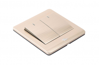Công tắc đôi, 1 chiều - A66-K02A