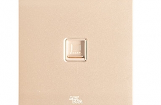 Ổ cắm mạng - A38V-E02