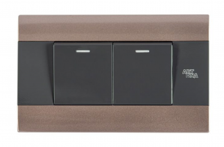 Công tắc đôi 2 chiều A88-K02B
